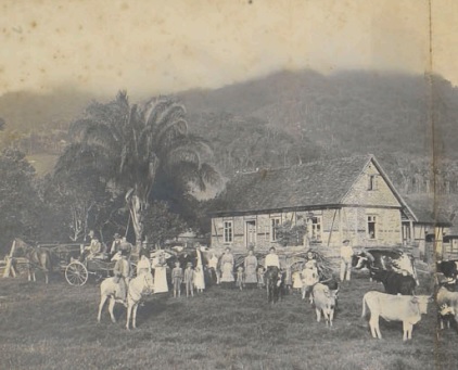 Propriedade agrícola em Blumenau (SC), 1922