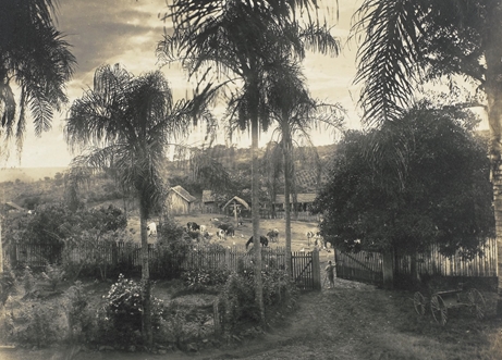 Fazenda de produção pecuária no interior do estado de São Paulo, [1911]