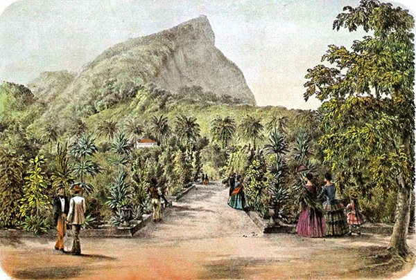 Litografia do Jardim Botânico a partir de gravura de P. G. Bertichem, Rio de Janeiro, 1856.